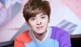 娱乐圈八卦最新爆料鹿晗,娱乐圈再掀波澜！